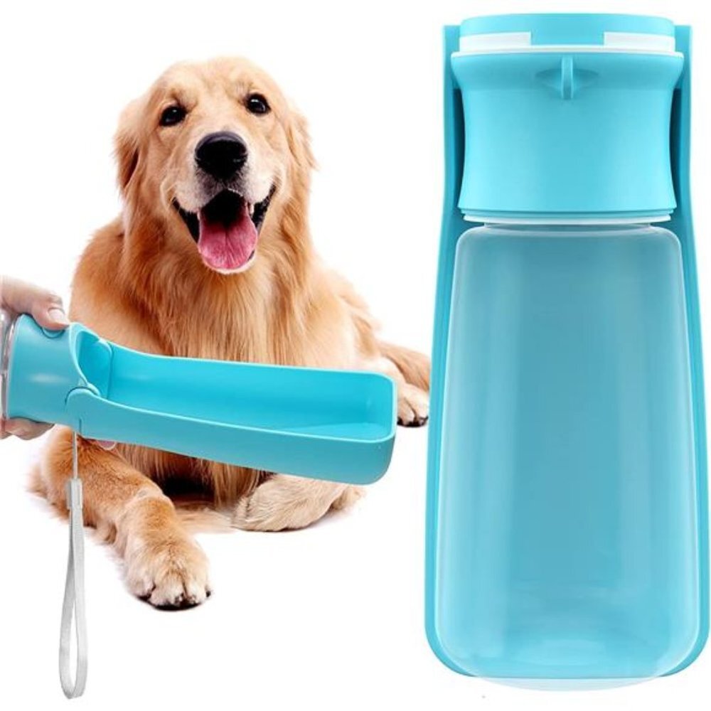 Portable Dog Water Bottle for Walking 19 OZ